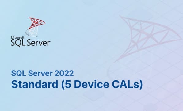 SQL Server 2022 Standard (5 Device CALs)